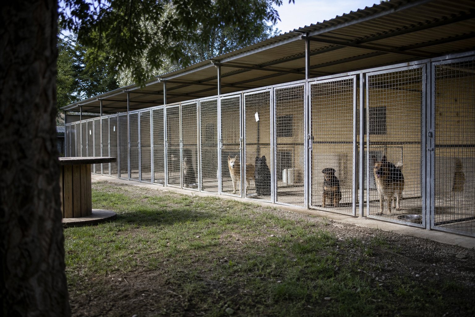 PensionAnimal, les réservations et le suivi pour pensions animalières